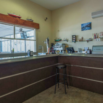 DESCUBRE LA NATURALEZA