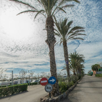 DESCUBRE LA NATURALEZA