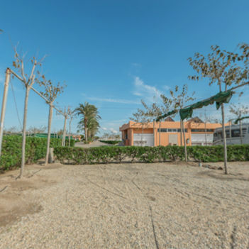 DESCUBRE LA NATURALEZA