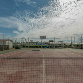 DESCUBRE LA NATURALEZA