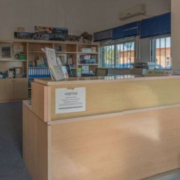 DESCUBRE LA NATURALEZA