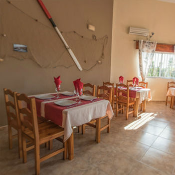 DESCUBRE LA NATURALEZA